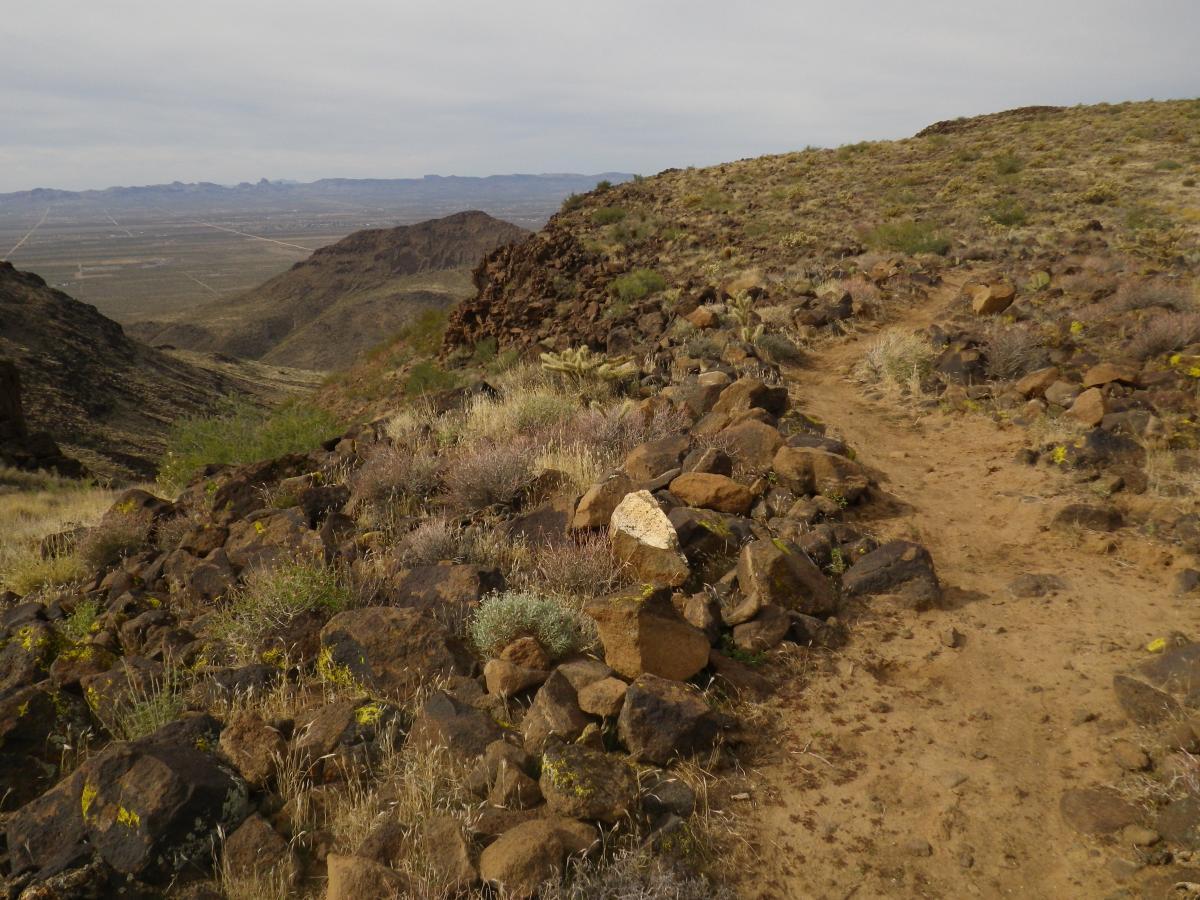 A winding dirt path leads through rocky terrain with sparse vegetation, set against a backdrop of rolling hills and distant mountains under a cloudy sky. Foothills Rim Trail mountain bike trail.