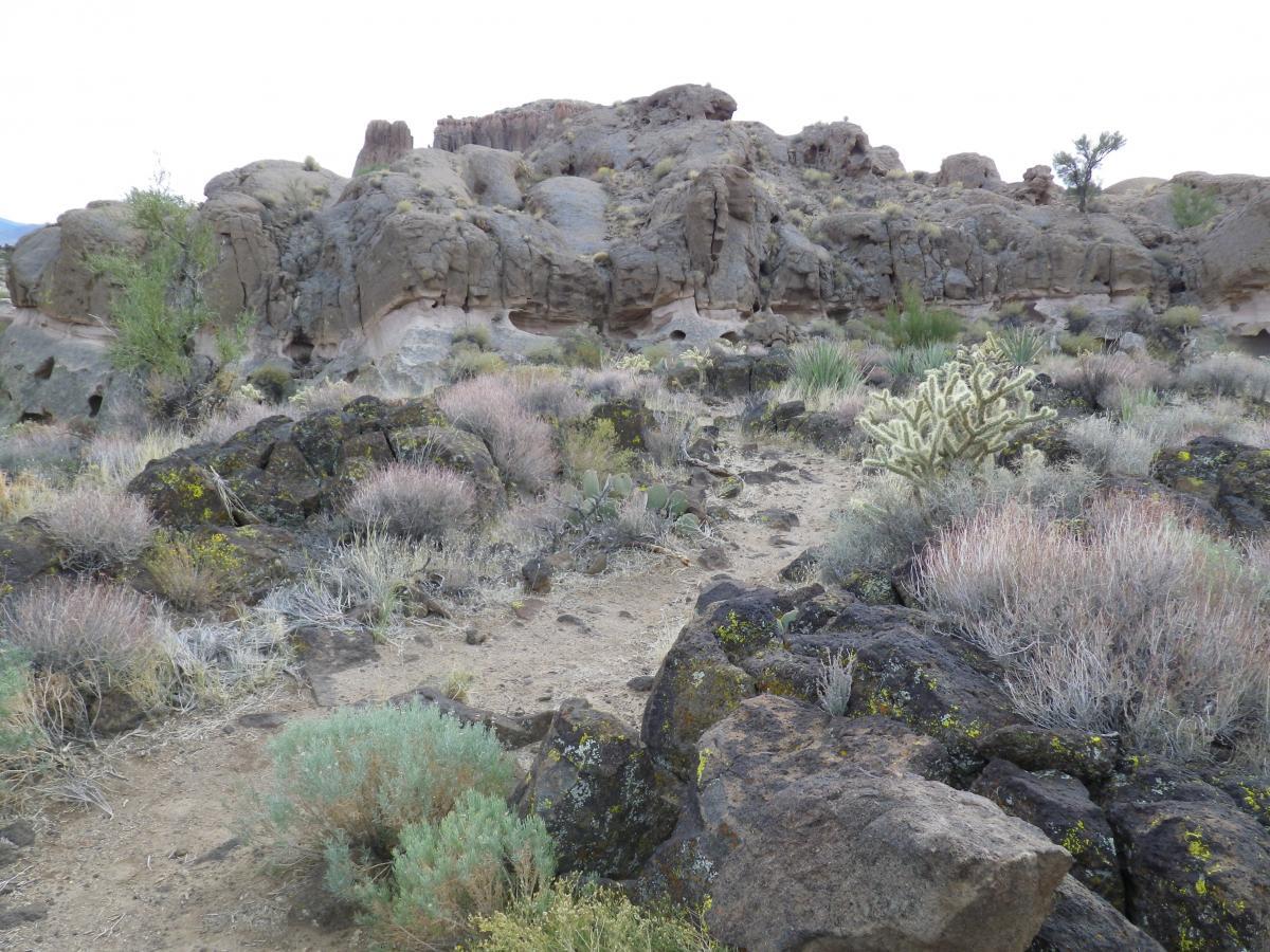 Rocky landscape featuring textured boulders and patches of desert vegetation, including cacti and shrubs, under a cloudy sky. Foothills Rim Trail mountain bike trail.