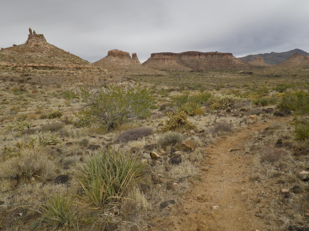A desert landscape featuring rocky formations and sparse vegetation under a cloudy sky. A dirt path meanders through the foreground, surrounded by various desert plants and shrubs. The background showcases distinct geological formations rising against the horizon. Foothills Rim Trail mountain bike trail.