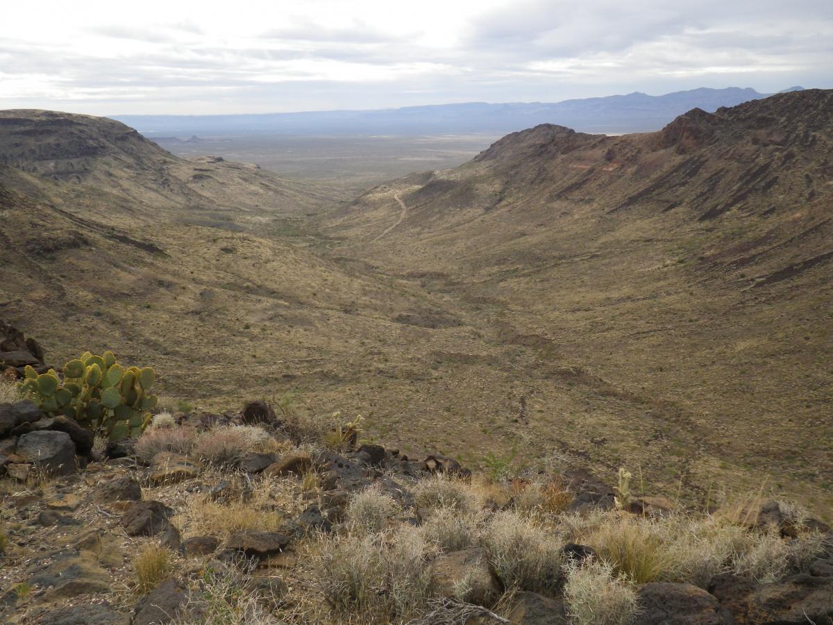 A wide view of a desert canyon landscape featuring rugged terrain, sparse vegetation, and distant mountains under a cloudy sky. Cacti and dry grasses are visible in the foreground, leading down into a vast, arid valley. Foothills Rim Trail mountain bike trail.