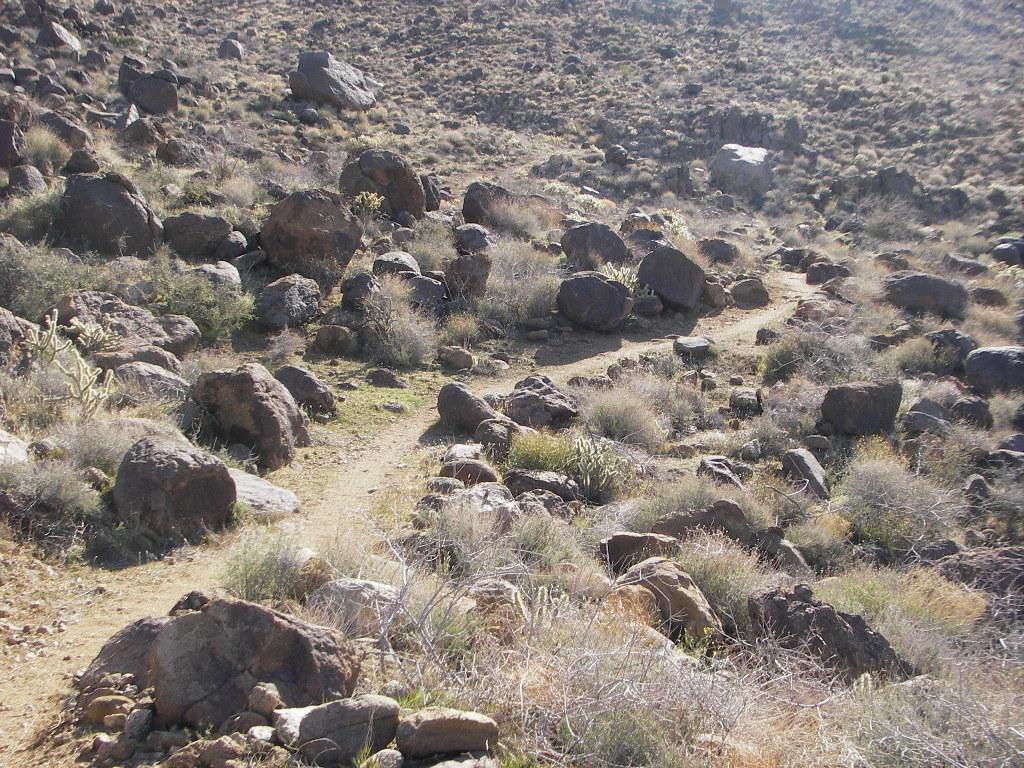 A rocky landscape featuring a winding dirt path surrounded by various rocks and sparse vegetation. The terrain is uneven, with scattered boulders and low-growing plants typical of a dry, arid environment. Cerbat Foothills Recreation Area mountain bike trail.