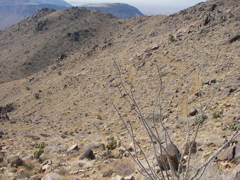 A rocky desert landscape featuring rolling hills and sparse vegetation, including a few cacti and dry shrubs, under a clear blue sky. Cerbat Foothills Recreation Area mountain bike trail.