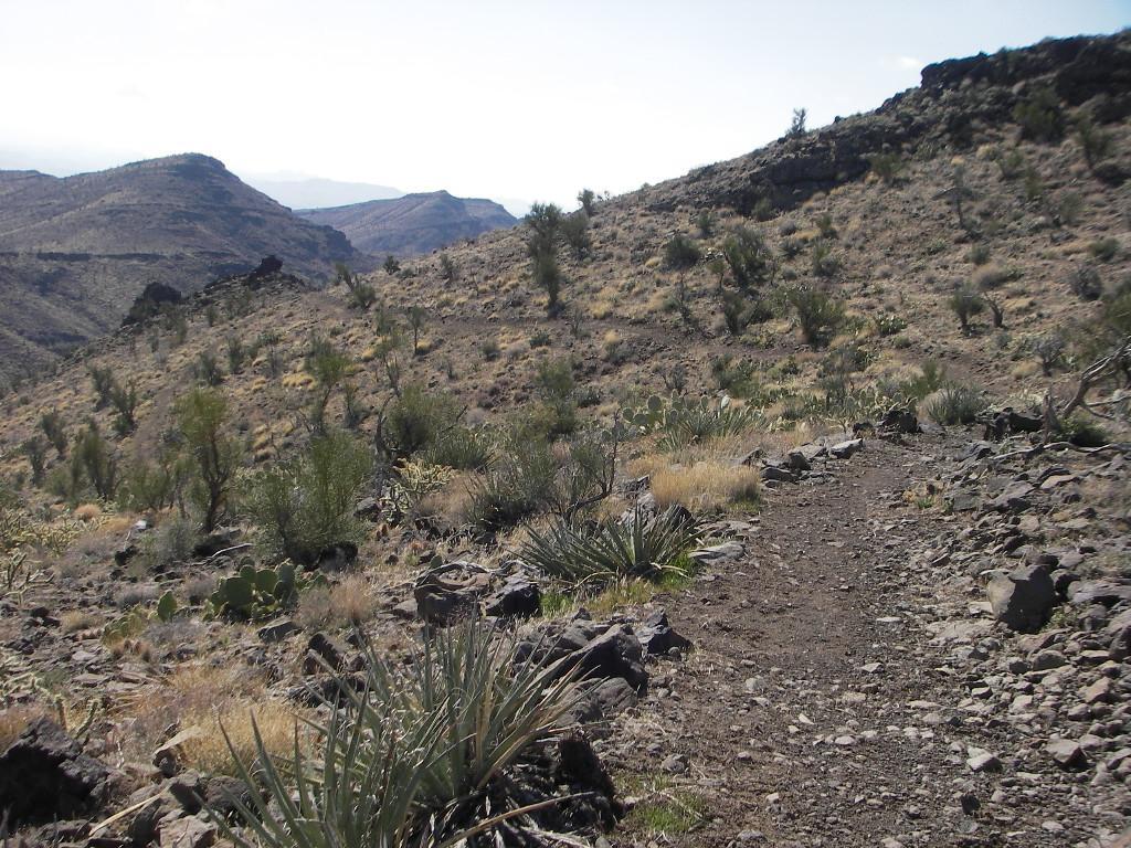 A winding dirt trail traverses a rugged desert landscape, surrounded by sparse vegetation, rocky terrain, and distant mountains under a clear sky. Cerbat Foothills Recreation Area mountain bike trail.