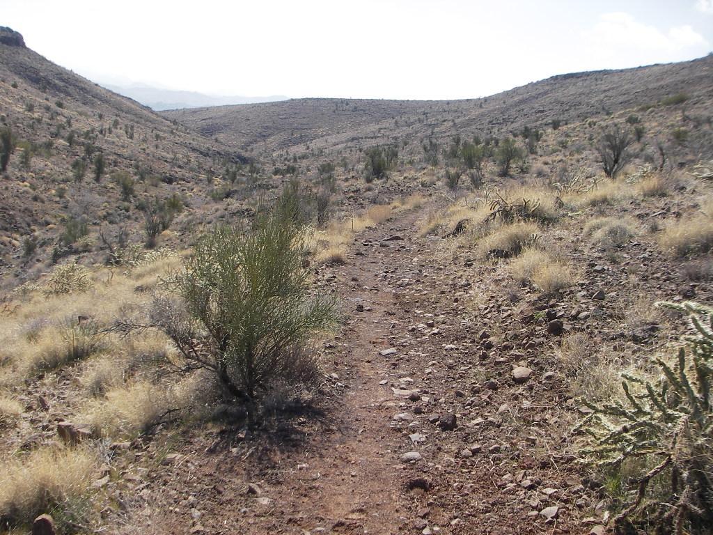 A dirt hiking trail winding through a dry, rocky landscape with sparse vegetation and low shrubs, surrounded by rolling hills under a bright sky. Cerbat Foothills Recreation Area mountain bike trail.