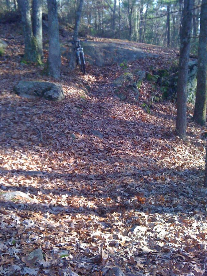 A narrow dirt trail covered in fallen leaves, surrounded by trees and rocky terrain. A bicycle is leaning against a rock near the trail, suggesting a recreational outdoor activity in a forested area. F. Gilbert Hills State Park mountain bike trail.