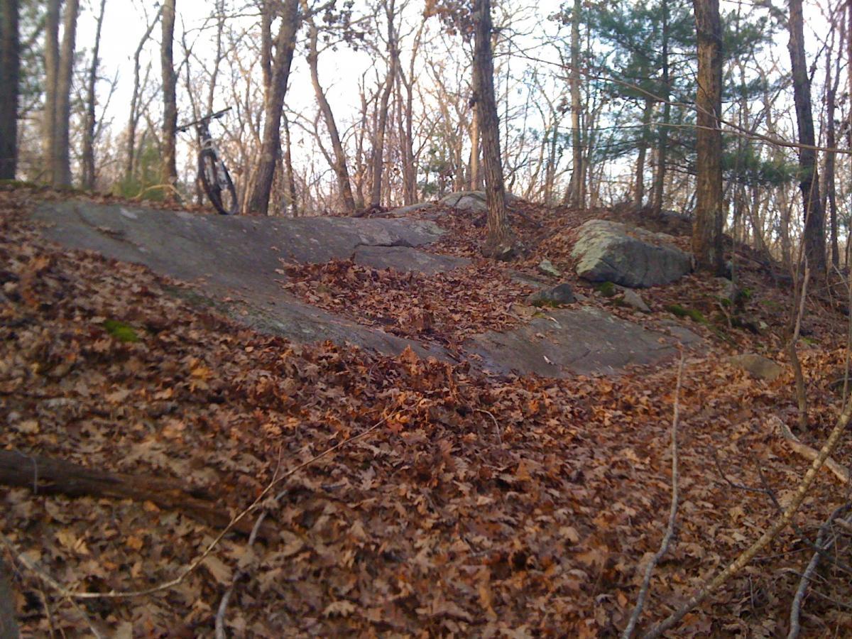 A rocky hillside covered with fallen leaves and surrounded by trees, with a bicycle leaning against the rocks in the background. The scene captures a natural, outdoor setting in a forested area. F. Gilbert Hills State Park mountain bike trail.