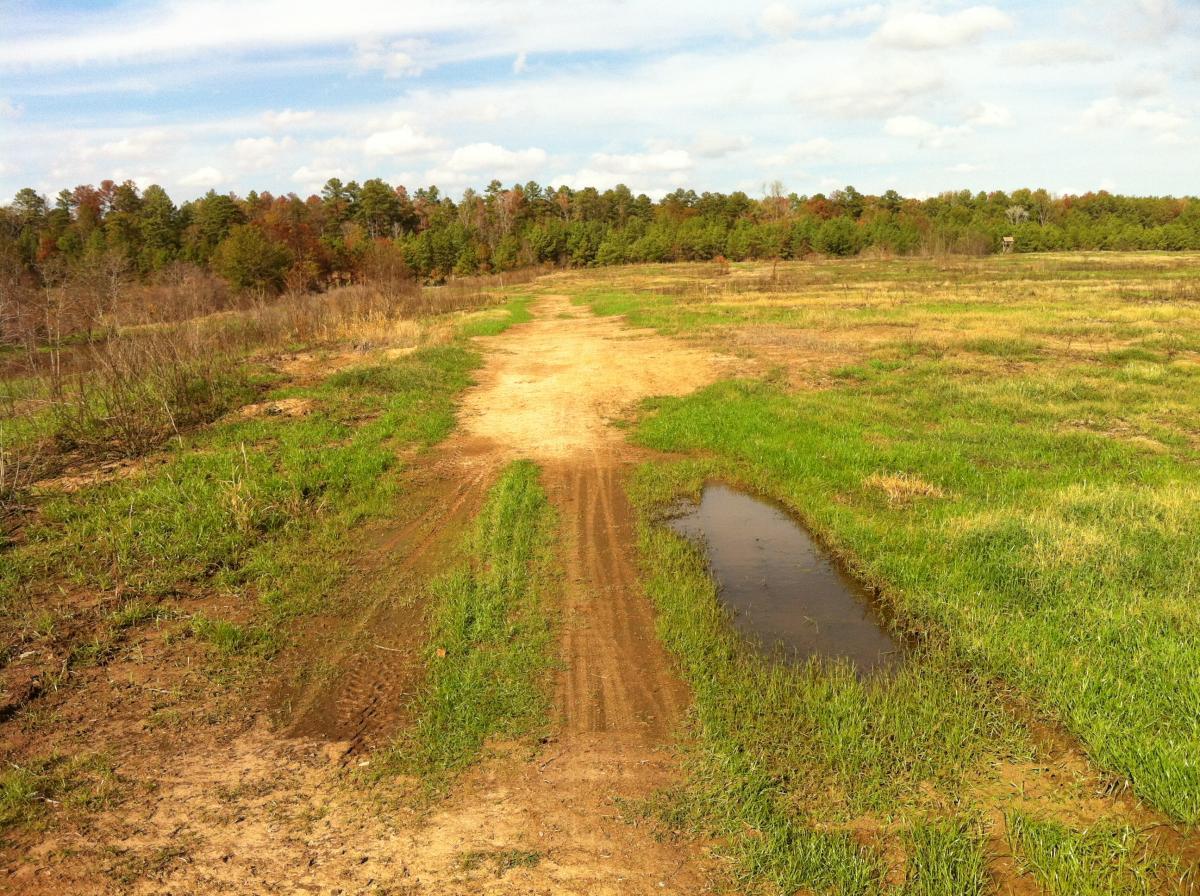 A dirt path winding through a grassy field, with a small puddle on the right side. The background features a mix of trees with green foliage and some with brown leaves, under a partly cloudy sky. The Monkey Trail mountain bike trail.