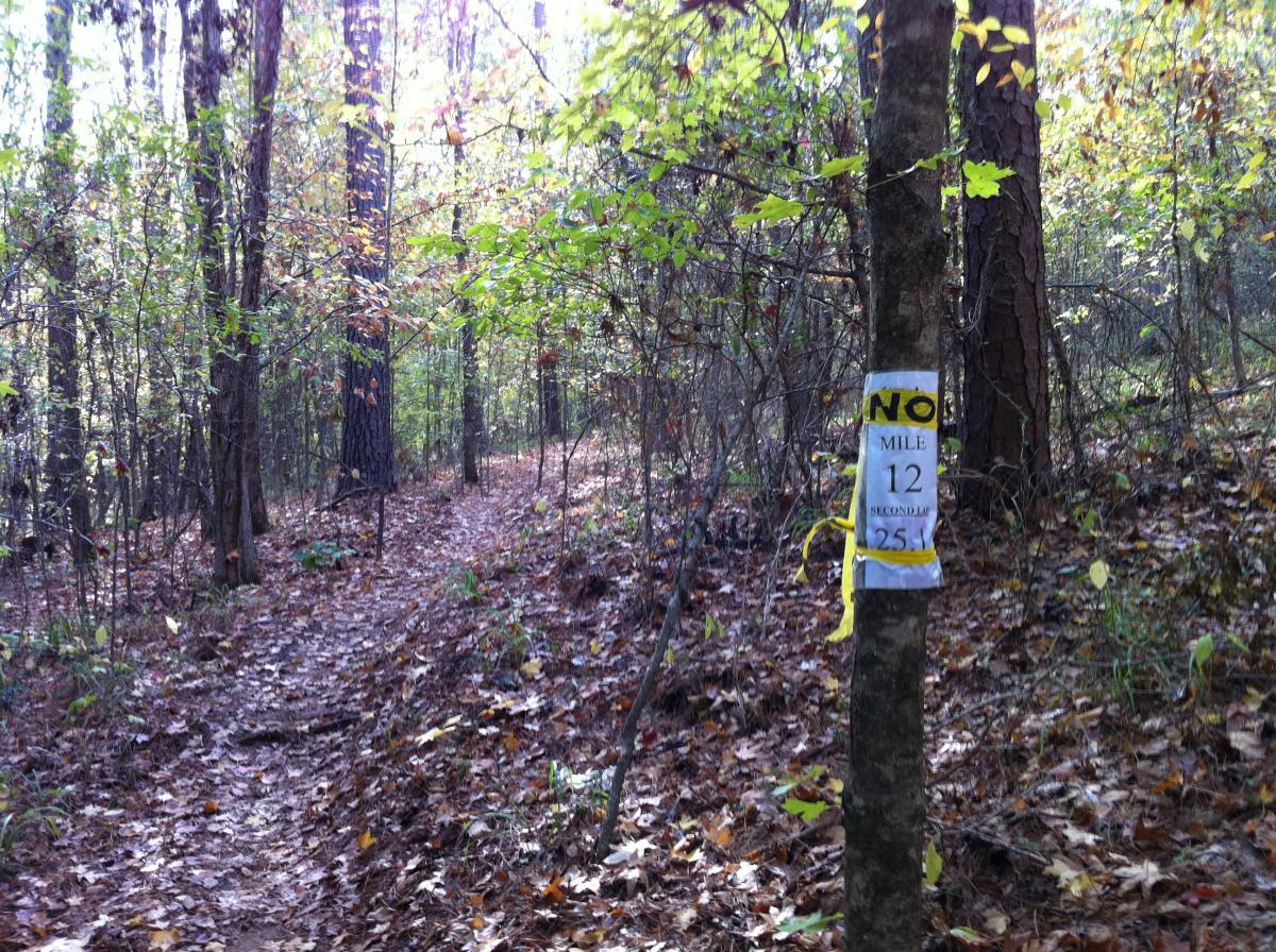 A wooded trail with a sign on a tree indicating "No Mile 12, Second Lap 25." The path is surrounded by trees and scattered fallen leaves, creating a natural, serene atmosphere. The Monkey Trail mountain bike trail.