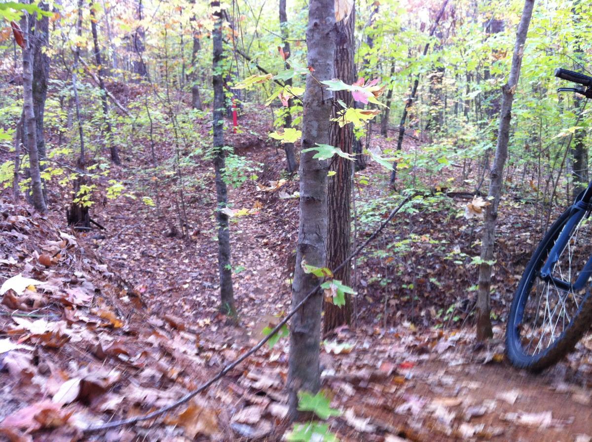 A wooded trail with fallen leaves and green foliage. A bicycle is partially visible on the right side, resting against a tree. The scene includes trees with changing leaves, indicating fall. The path appears to wind gently downhill, creating a natural trail through the forest. The Monkey Trail mountain bike trail.
