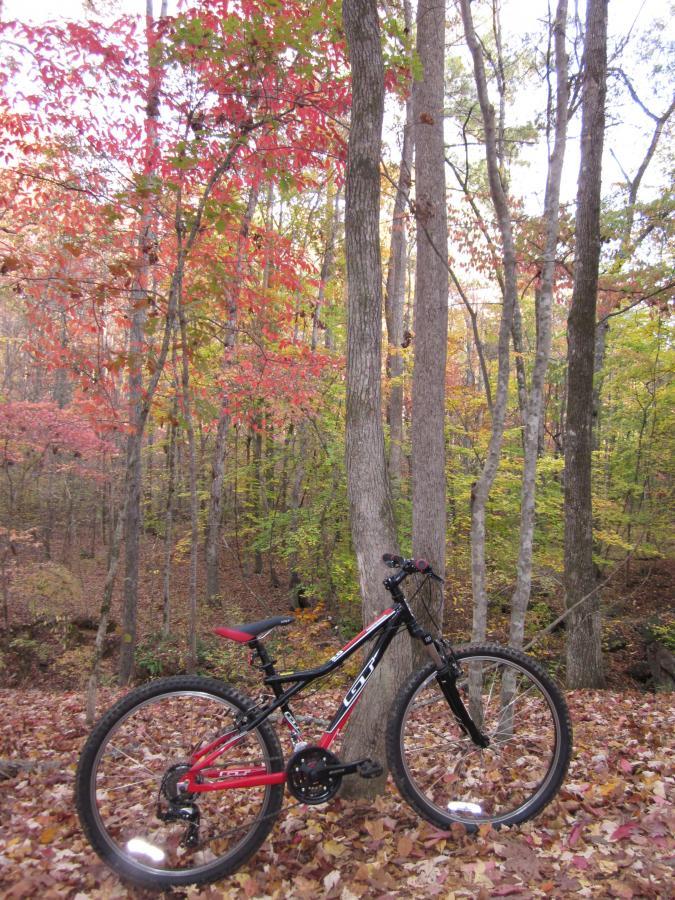 A mountain bike leaning against a tree in a colorful autumn forest, surrounded by fallen leaves in shades of orange, red, and yellow. The scene captures the essence of outdoor adventure and the beauty of fall foliage. Dauset Trails Nature Center mountain bike trail.