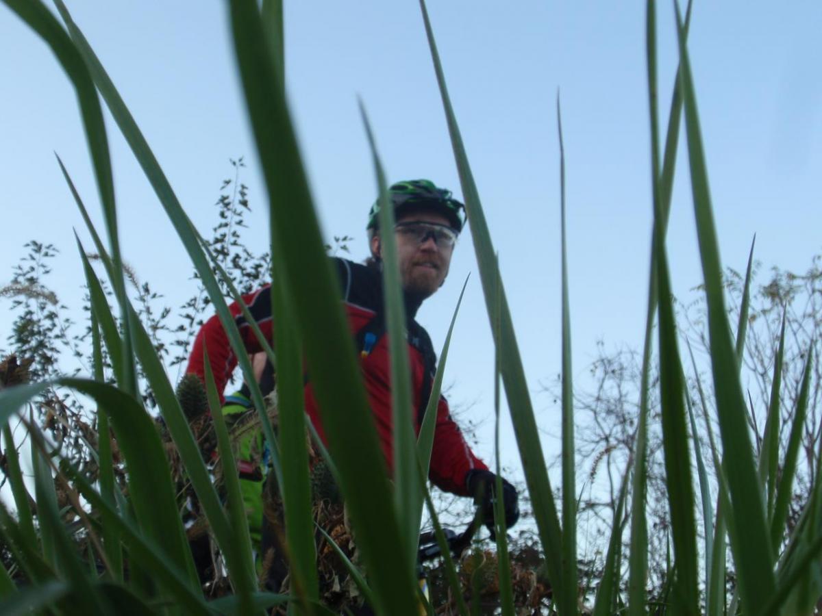 A cyclist wearing a red jacket and green helmet is seen from a low angle among tall grass and plants, with a clear sky in the background. The image captures a view of the cyclist as they prepare to ride. Laurel Hill Park mountain bike trail.