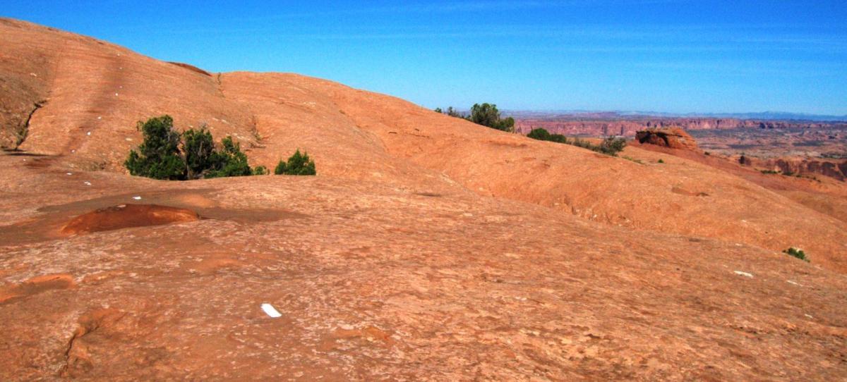 A rocky, reddish landscape with gentle slopes and patches of greenery, under a clear blue sky. The terrain features smooth rock surfaces, small trees, and distant rock formations visible in the background. Slickrock mountain bike trail.