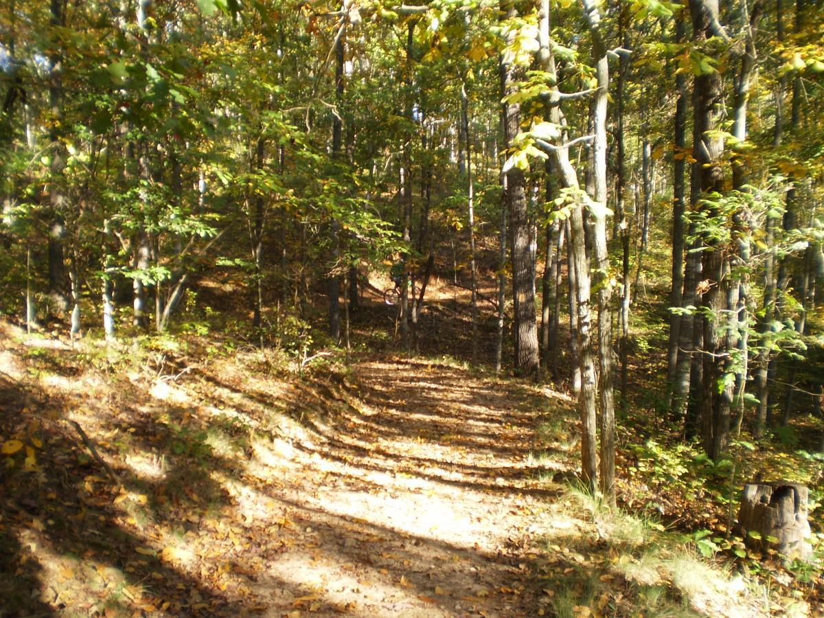 A scenic forest path winding through trees, with dappled sunlight filtering through the leaves. The ground is covered in a mix of dirt and fallen leaves, suggesting a peaceful autumn atmosphere. Victoria Bryant State Park mountain bike trail.