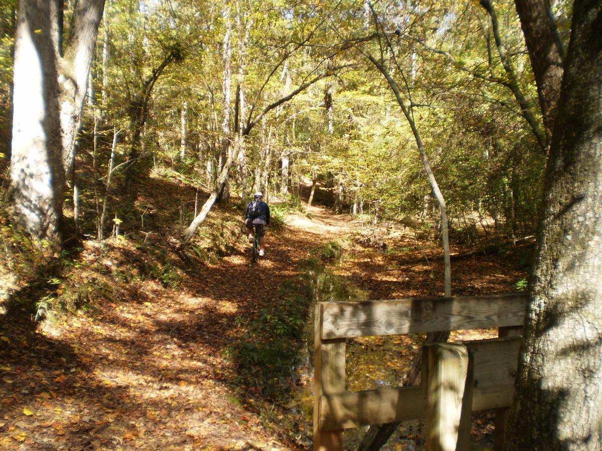 A winding forest path covered in fallen leaves, with a person walking away from the camera. The scene is surrounded by trees in autumn foliage, featuring dappled sunlight filtering through the branches. A wooden railing is visible in the foreground, guiding the viewer's eye along the tranquil trail. Watson Mill Bridge State Park mountain bike trail.