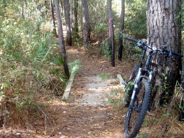 Alt tag: A mountain bike rests against a tree near a wooden path that leads into a wooded area, surrounded by greenery and pine needles. Fosters Hammock mountain bike trail.