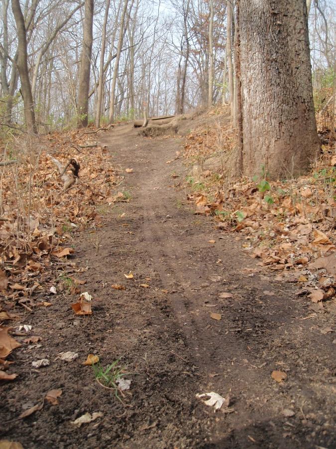 A dirt trail winding through a quiet forest, surrounded by bare trees and scattered autumn leaves. The path is slightly elevated, leading into the distance where it curves gently. Small patches of grass and remnants of dried leaves are visible along the edges of the trail. Goshen mountain bike trail.