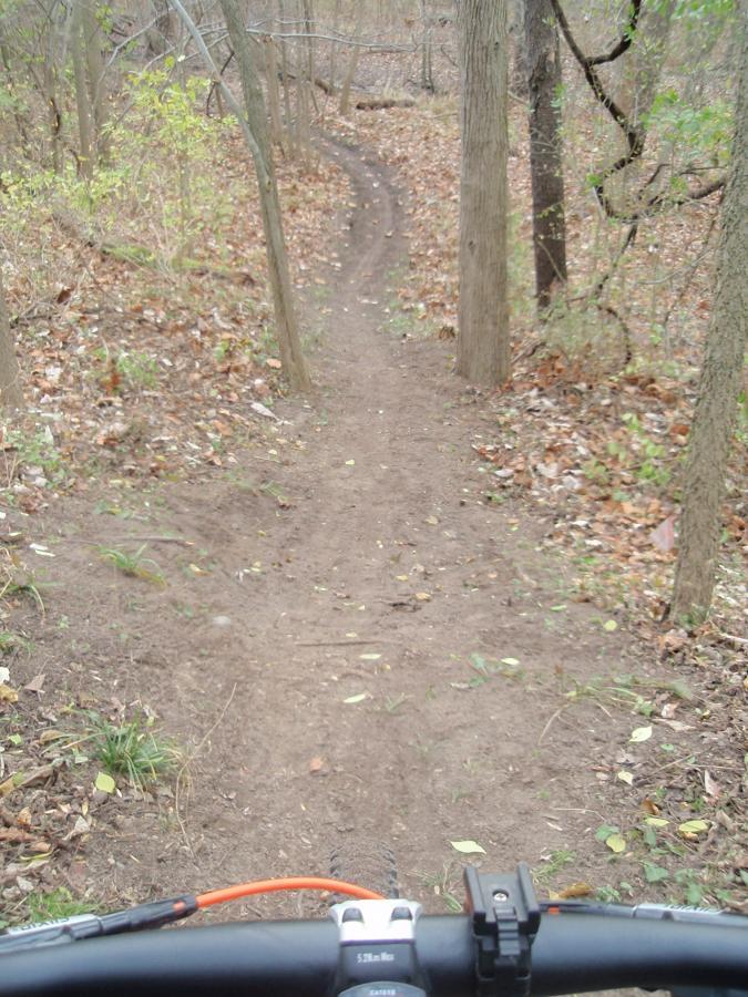 Alt text: A view from the handlebars of a mountain bike, showing a narrow dirt trail winding through a wooded area with trees on either side and fallen leaves on the ground. Goshen mountain bike trail.