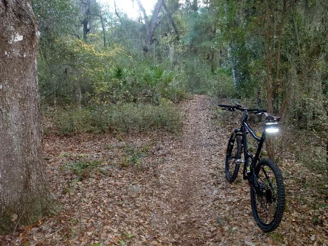 A mountain bike parked beside a narrow dirt trail surrounded by dense greenery and trees, with fallen leaves covering the ground. The sunlight filters through the foliage, creating a peaceful, natural setting ideal for outdoor activities. Beyond mountain bike trail.