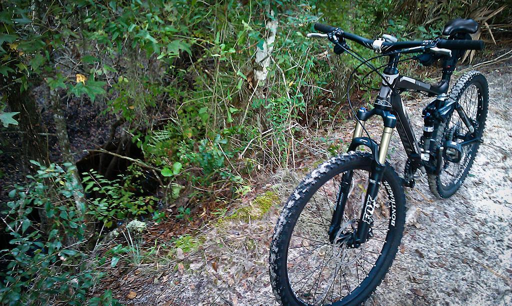 Mountain bike resting on a narrow trail surrounded by dense greenery, with a glimpse of a dark area in the background. The bike features thick tires and a sturdy frame, indicating it's suited for rugged terrain. Little Big Econ State Forest mountain bike trail.