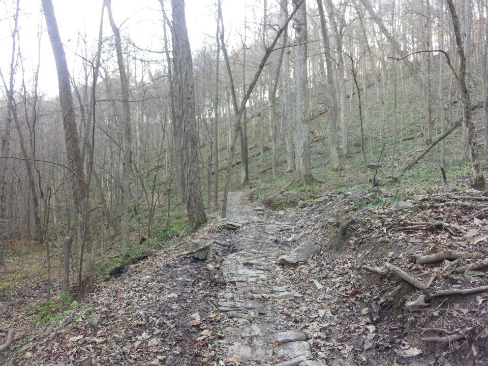 A winding footpath through a wooded area, lined with bare trees and scattered rocks, leading upward on a gentle slope covered in fallen leaves and small vegetation. Allegrippis Trails mountain bike trail.