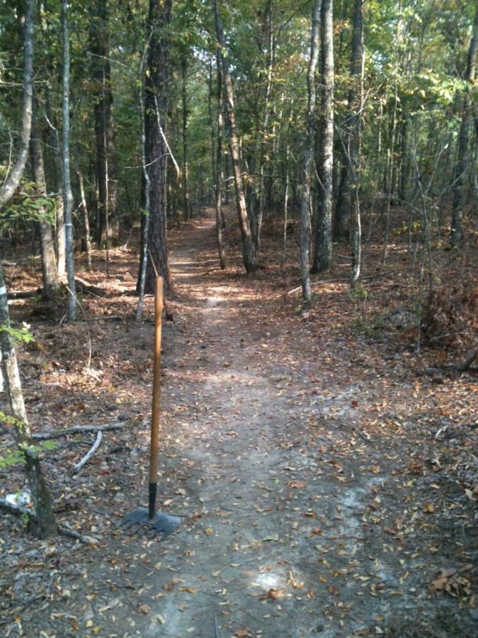 A narrow dirt path winding through a wooded area, surrounded by tall trees with green and brown leaves. A rake is positioned upright on the path, with scattered leaves covering the ground. The scene is peaceful, illustrating a serene landscape suitable for walking or hiking. Arrowhead Park mountain bike trail.