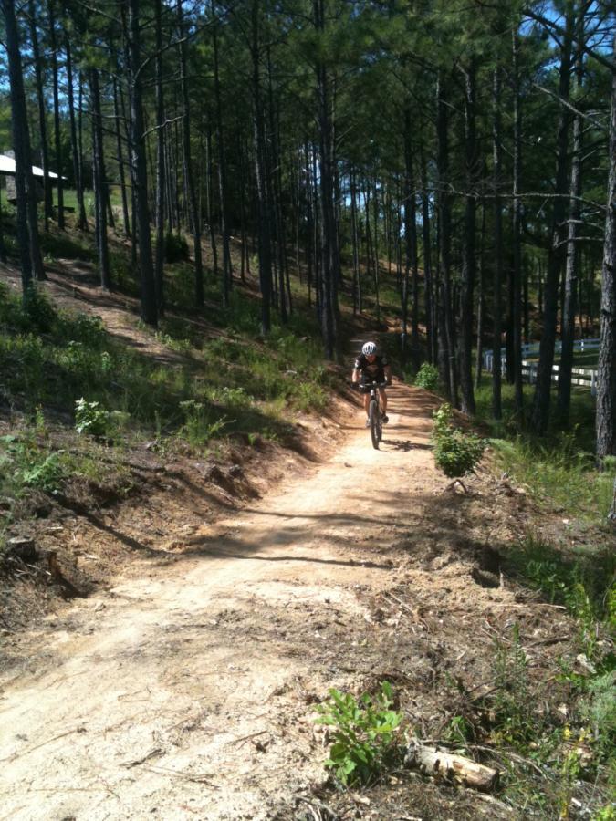 A person riding a mountain bike on a narrow dirt trail surrounded by tall pine trees, with sunlight filtering through the branches. The path is winding, showcasing a natural wooded area. Arrowhead Park mountain bike trail.