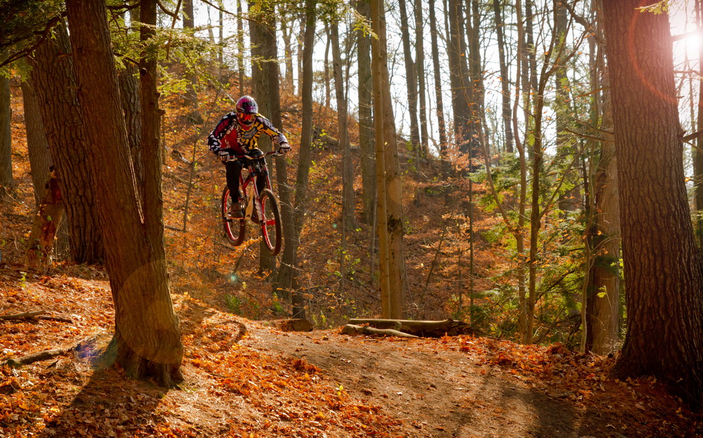 A mountain biker in colorful gear performs a jump on a dirt trail surrounded by trees in an autumn forest. The ground is covered with orange and brown leaves, and sunlight filters through the trees, creating a warm, vibrant atmosphere.