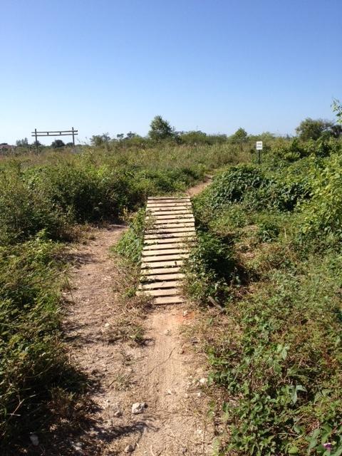 A narrow wooden bridge spans a small path, surrounded by tall grass and greenery under a clear blue sky. In the background, a wooden structure can be seen, suggesting a trail entrance or sign, while a small warning sign is partially visible beside the path. The area appears to be a natural landscape, suitable for walking or hiking. Quiet Waters Park mountain bike trail.