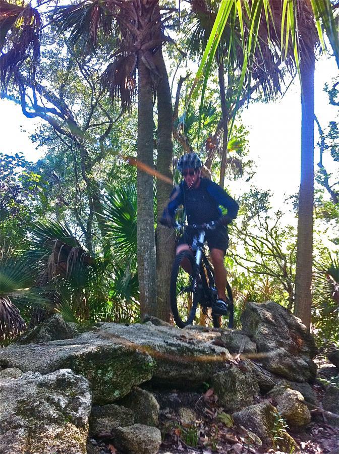 A mountain biker navigating over rocky terrain in a lush, green forest, with trees and palm plants in the background. The biker is captured mid-jump, showcasing dynamic motion and skill. Mala Compra mountain bike trail.