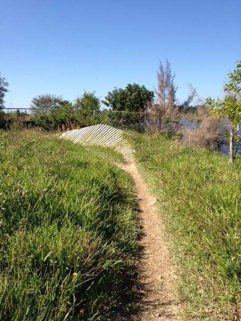 A grassy path leads through lush greenery towards a sloped area with wooden planks at the top, adjacent to a body of water under a clear blue sky. Quiet Waters Park mountain bike trail.