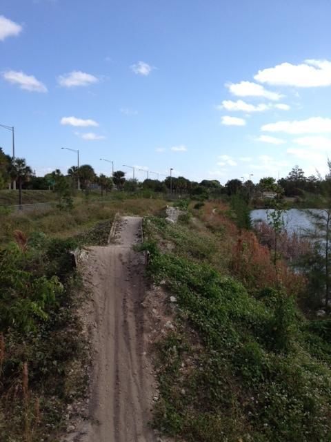 A dirt path winding through lush greenery, leading to a small water body on one side. The trail has a slight elevation with a jump ramp in the foreground. Trees and low vegetation surround the path, while a few streetlights can be seen in the background under a clear blue sky dotted with clouds. Quiet Waters Park mountain bike trail.