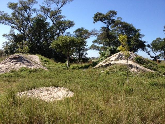 Two earthen mounds covered in grass and small vegetation, surrounded by trees under a clear blue sky. Quiet Waters Park mountain bike trail.