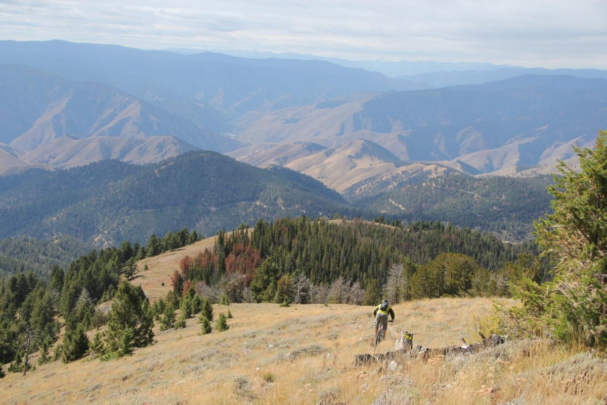 Alt text: A cyclist descends a grassy hillside surrounded by rugged mountains and forests under a partly cloudy sky. The landscape features rolling hills and a mix of green trees and dry grass, showcasing the natural beauty of a mountainous terrain. North Fork mountain bike trail.