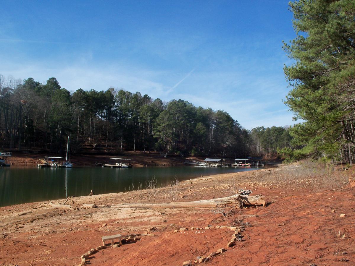 A tranquil lakeside scene featuring a calm body of water bordered by red earth and patches of grass. Pine trees are visible in the background, with several boats moored at a dock along the shoreline. A blue sky with light clouds completes the serene landscape. Charleston Park mountain bike trail.