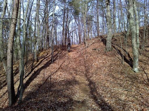 A narrow hiking trail winding up a hillside covered with fallen leaves, surrounded by tall trees with sparse foliage under a clear blue sky. A person is seen walking along the path, which is illuminated by sunlight casting shadows on the ground. Five Points mountain bike trail.