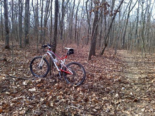 A mountain bike resting on a path surrounded by trees and fallen leaves in a wooded area. Five Points mountain bike trail.