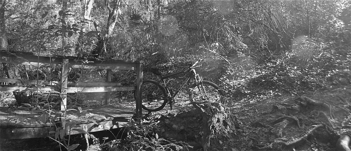 A black and white image of a wooden bridge surrounded by dense foliage in a forested area, with a mountain bike resting against the bridge. Gold Head Branch State Park mountain bike trail.