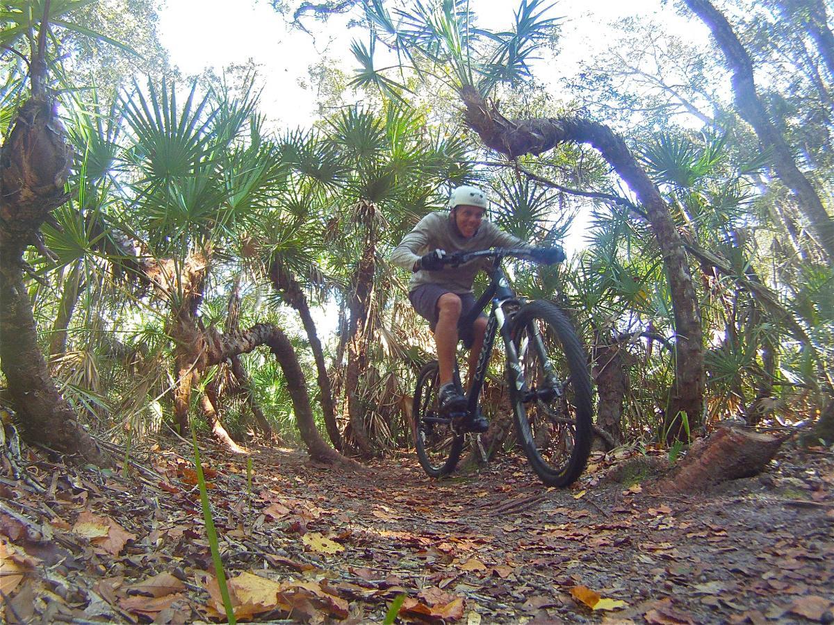 A person riding a mountain bike through a lush, tropical forest trail, surrounded by palm trees and dense foliage. The rider appears focused and in motion, navigating the uneven terrain covered with fallen leaves. Mala Compra mountain bike trail.