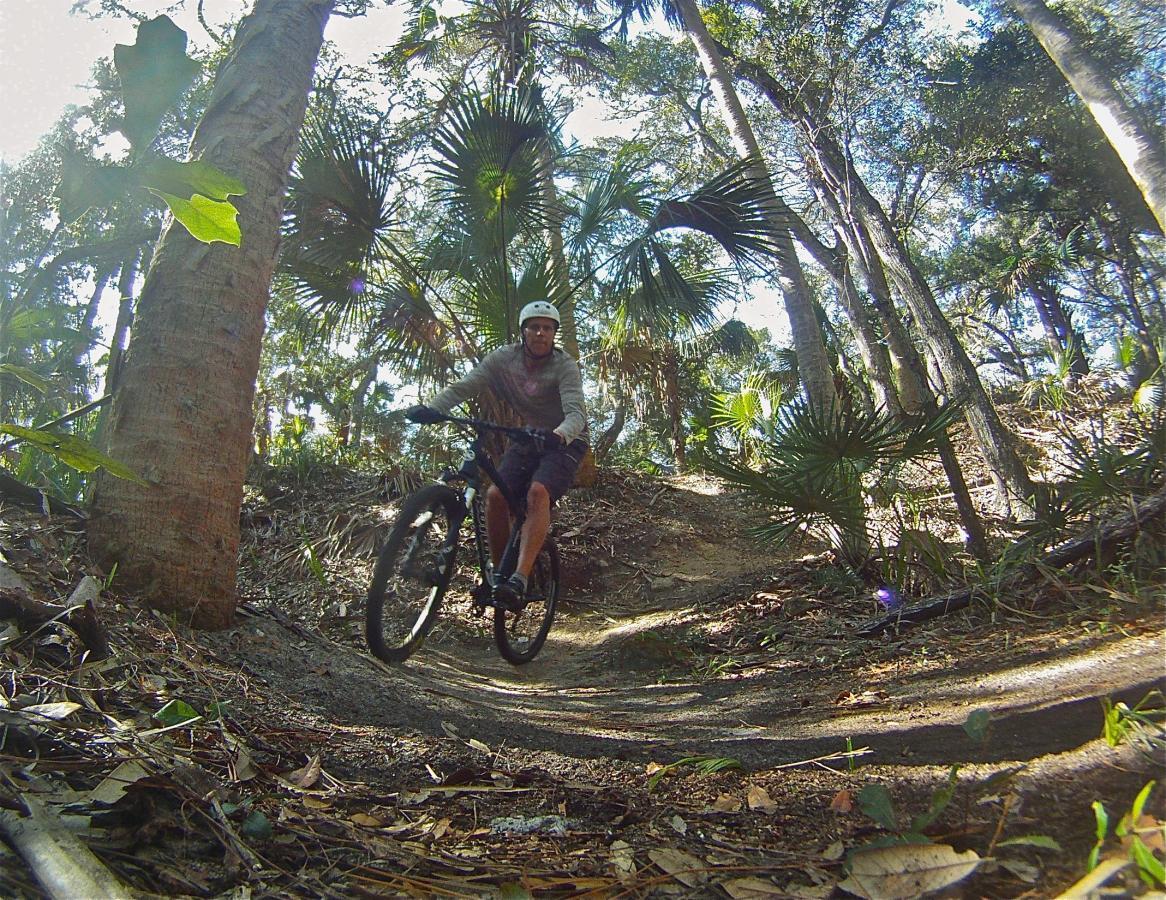 A mountain biker navigates a forest trail surrounded by tall trees and lush greenery, wearing a helmet and riding a black bicycle. Sunlight filters through the leaves, illuminating the path ahead. Mala Compra mountain bike trail.