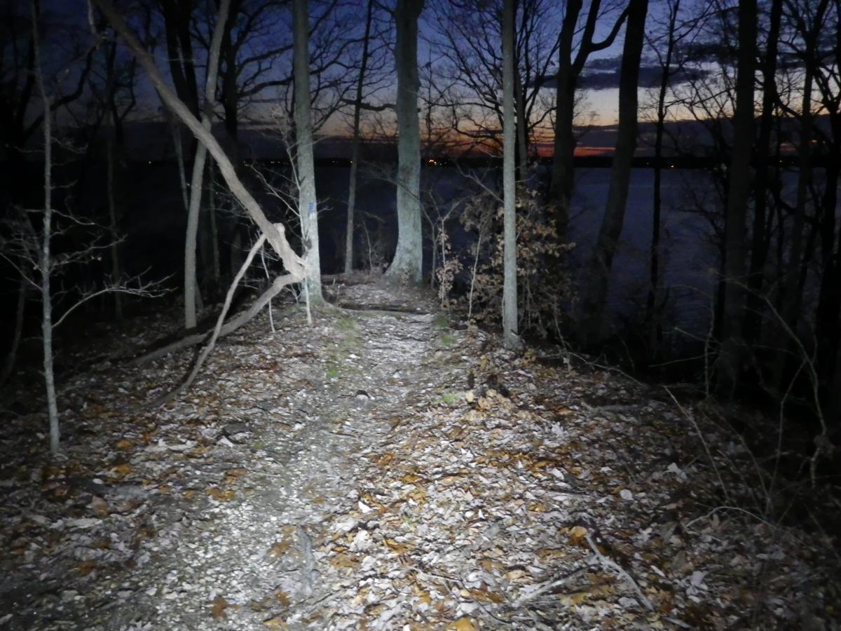 A dimly lit pathway through a forest, with scattered leaves on the ground. Tall trees are visible on either side, and a body of water can be seen in the background, illuminated by twilight. The scene suggests evening or nighttime, with a faint glow on the horizon. Canal Loop mountain bike trail.
