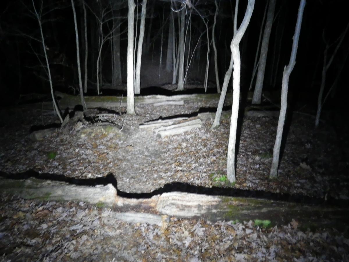 A dimly lit forest scene at night, featuring bare trees and fallen logs on the forest floor, surrounded by scattered leaves. The ground is uneven, and shadows create an eerie atmosphere in the dark setting. Canal Loop mountain bike trail.
