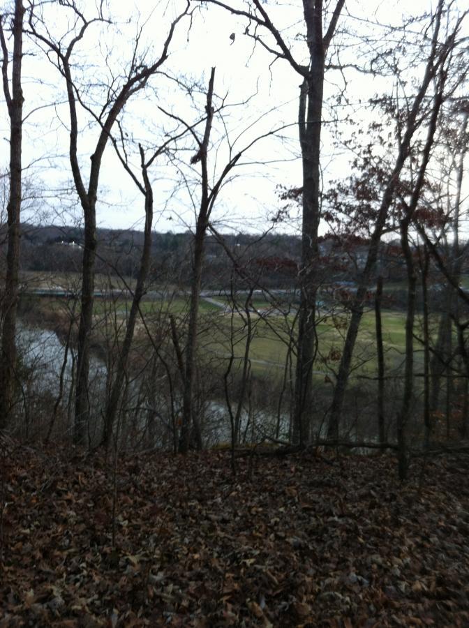A view of a river and open grassland through bare trees, with fallen leaves covering the ground in the foreground. The image is taken during a cloudy day, capturing the serene landscape of a natural area. Camp Meribah Mtb Trails mountain bike trail.
