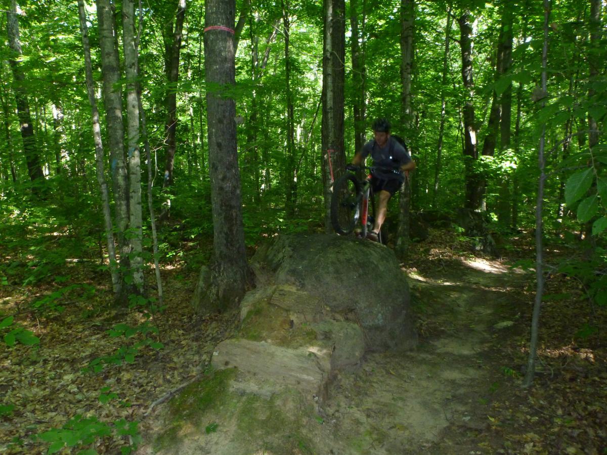 A mountain biker navigating a rocky terrain in a lush green forest, momentarily lifting the front wheel over a large boulder while surrounded by trees and underbrush. Nicolet Nat'l Forest mountain bike trail.