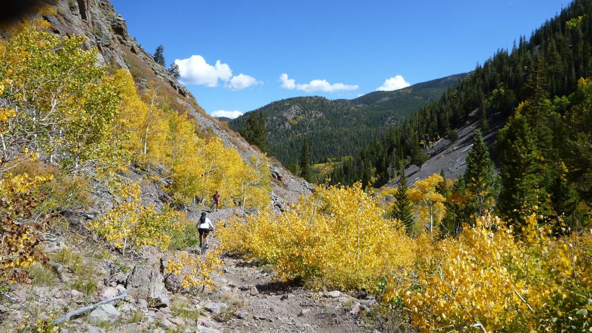 Two hikers walk along a rocky trail surrounded by vibrant yellow aspen trees in a mountainous landscape under a clear blue sky. Monarch Crest Trail mountain bike trail.