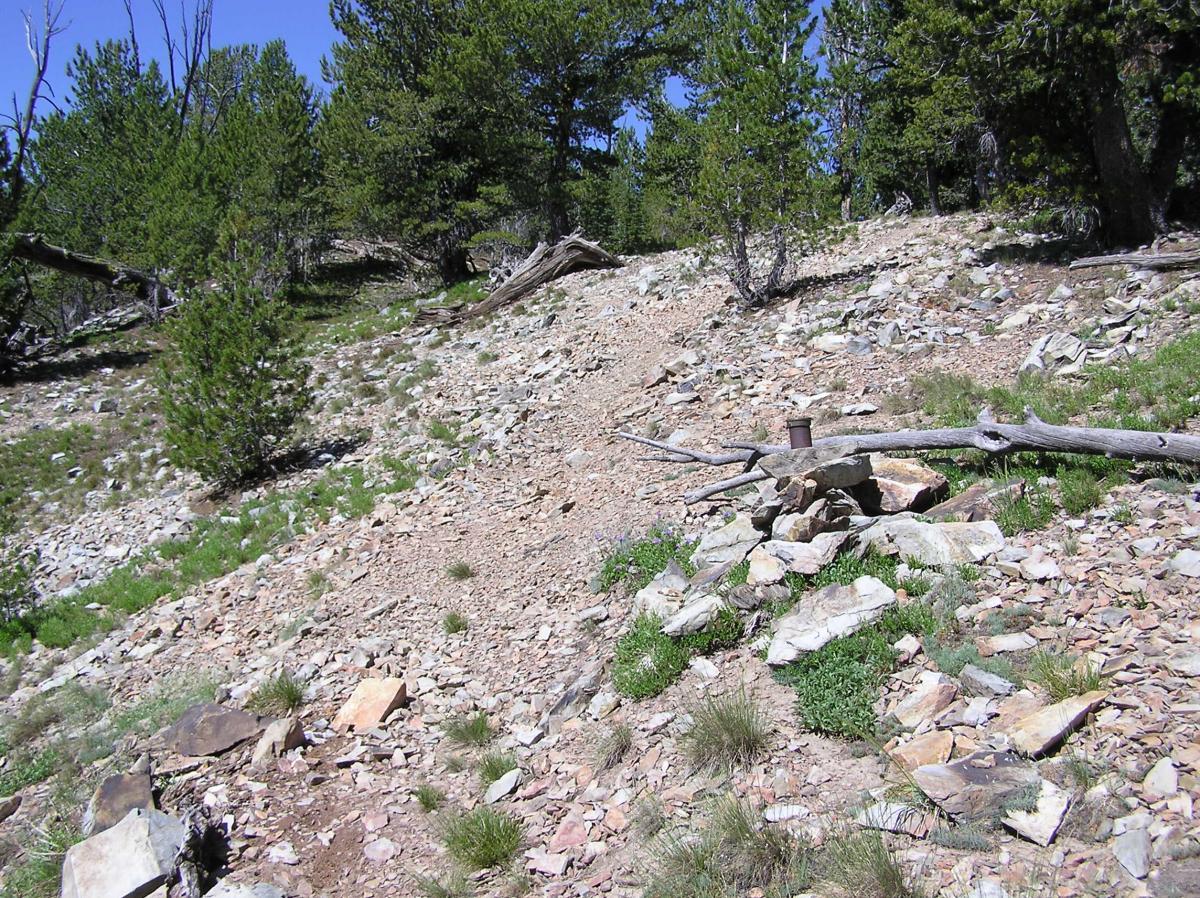 A rocky hillside with sparse vegetation and scattered stones, set against a backdrop of tall pine trees. A fallen log and a circular metal object are visible in the foreground. The scene is under a clear blue sky. CDT Goldstone South mountain bike trail.