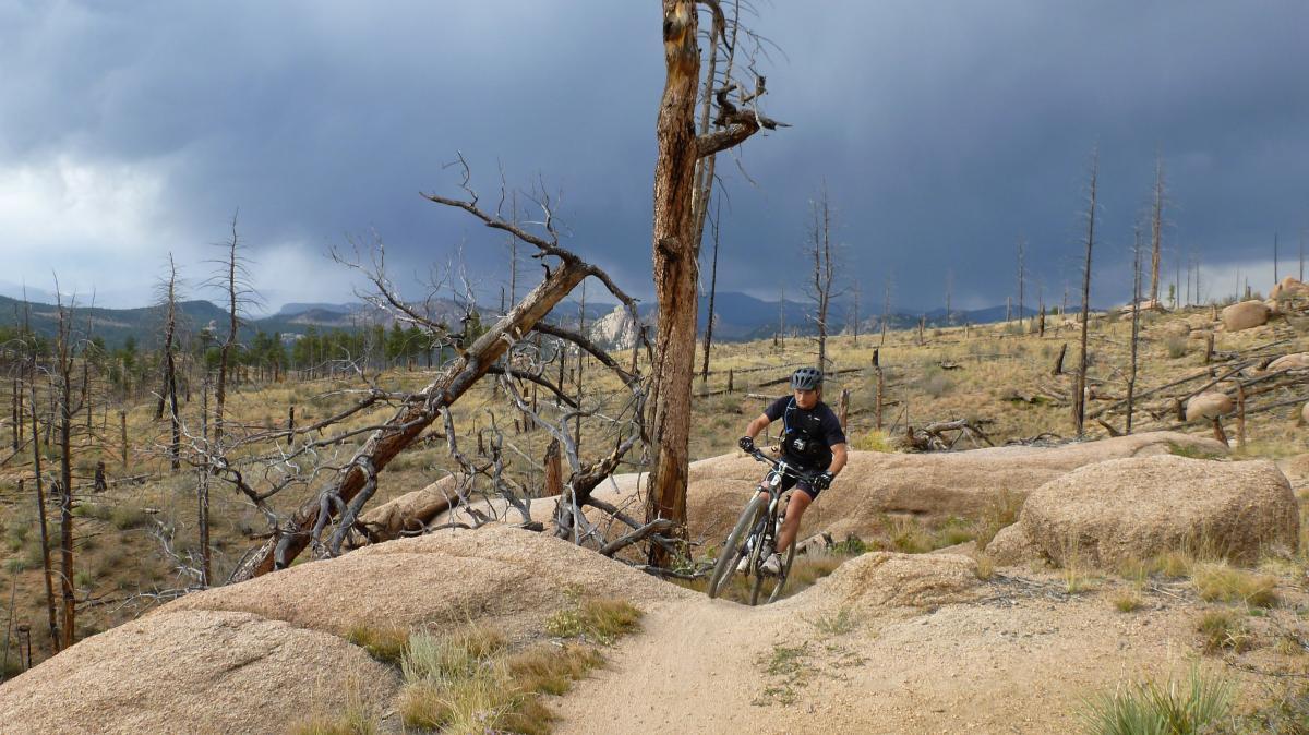 A mountain biker navigating a rocky trail in a forested area, with gray storm clouds overhead. The landscape features dead trees and rocky outcrops in the background, creating a rugged outdoor setting. Buffalo Creek mountain bike trail.