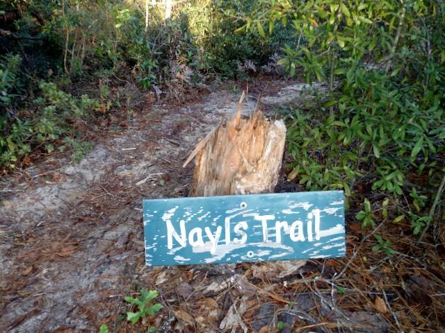 A wooden sign reading "Nayls Trail" positioned next to a partially fallen tree, with a dirt path and surrounding vegetation in a natural setting. Nayles Trail mountain bike trail.
