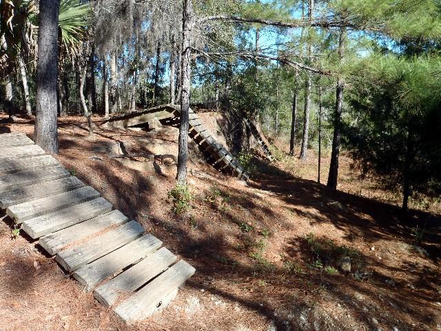 A wooded area featuring a sloped terrain with wooden ramps or walkways, surrounded by tall trees and patches of pine needles. The scene is brightened by sunlight filtering through the foliage, creating a serene outdoor setting. Imba Red mountain bike trail.