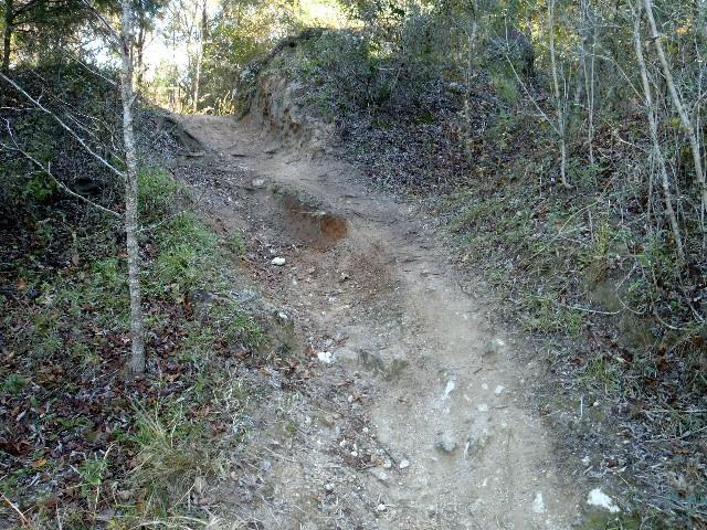 A narrow dirt trail winds uphill through a wooded area, surrounded by sparse trees and scattered fallen leaves. Sunlight filters through the foliage, highlighting the uneven terrain and a slight incline leading further into the forest. Imba Red mountain bike trail.