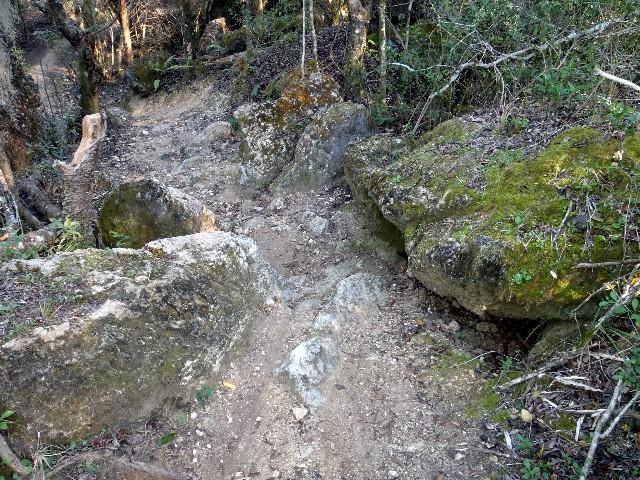 A narrow, rocky hiking trail surrounded by trees and underbrush, featuring large moss-covered boulders on either side of the path. The ground is uneven with exposed roots and loose stones, indicating a natural, rugged terrain. Imba Red mountain bike trail.